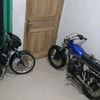 kedell334