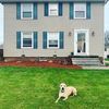 bronsonyoung529