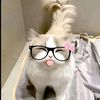 xxrjbear