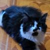 chicharon_0817