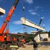Thy Anh Crane