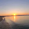 xcy_75