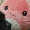 who_why_when_how