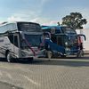 sulistyono46