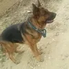 victormanuelgom80