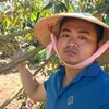 lam_tien_le