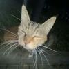 maulll245