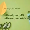 Sửa