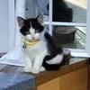sammy_sam_bunny