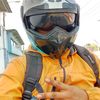 monkey_drandy