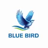 Blue Bird