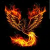 user3753303820616