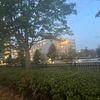 chucon_0203