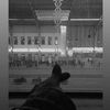 fatmaamohammed135