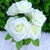 ahmadz265
