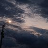 bardalesflores_49