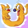 🐈CATDOG🐕
