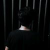 stfhn_0