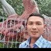 phiphi0987