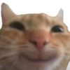 shegohemi