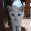 letuzawa535