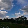 juzz.kenok