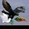 user7663020409746