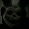 haz._21