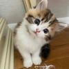 xero_n0tfound
