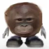 frickujd