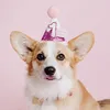 ladymarmaladecorgi