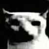 car_tikl