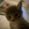 tati_14k1