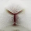 maswinzz