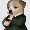 vxquys