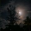 crescent.moon143