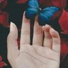 achi_bs_