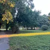 dzsina_percze