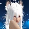 kittycatdonutttv