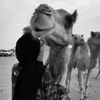 i3oo35