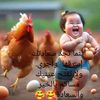 user4018094601756