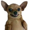 naomesigam2
