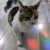 jennyem107