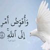 mohamed.khaled3092