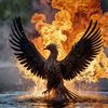 carbonphoenix