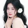 mihhien01