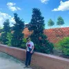 pinhox99