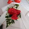 novaw82