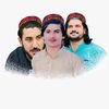anwar2ptm