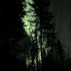 travellingman0521